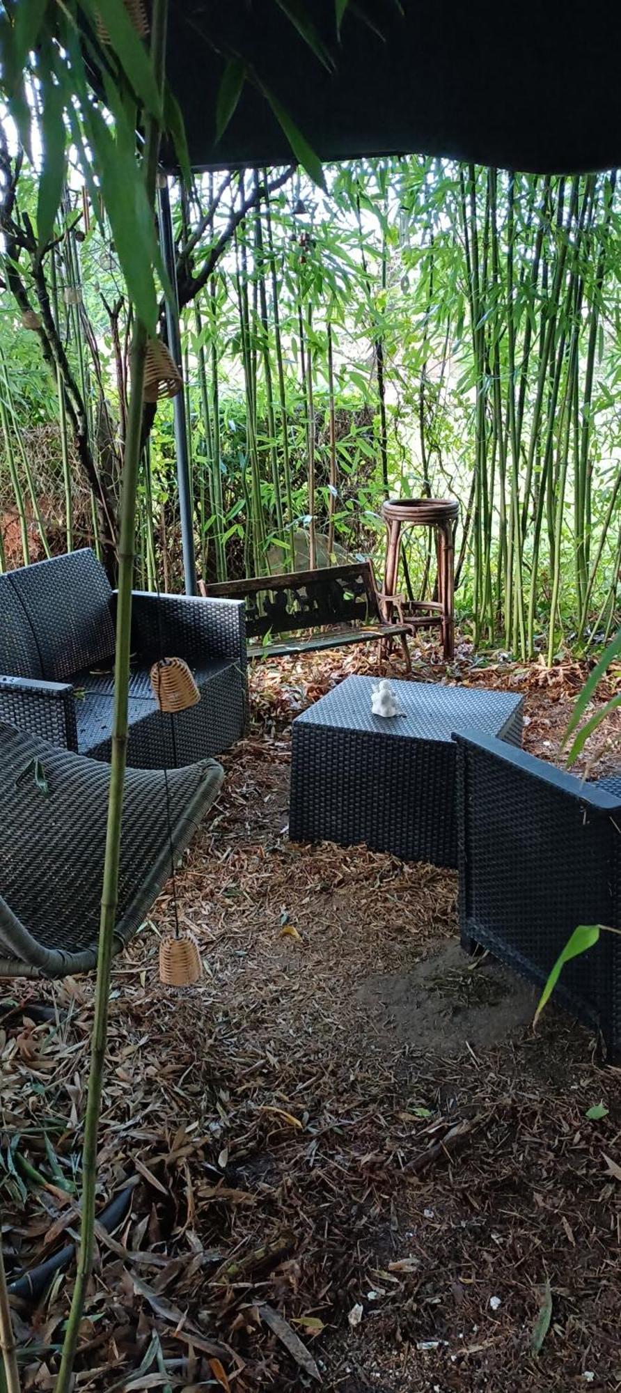 Chambre D'Hote Dans Maison Atypique Possibilite 1 Lit Supplementaire Pour 15 Euros Sancoins Exteriör bild